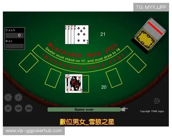 全面解析blackjack21点的详细规则与玩法技巧帮助新手快速入门掌握游戏策略